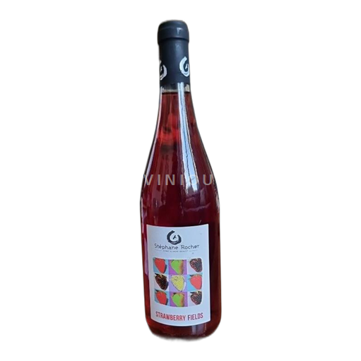 Thung lũng sông Loire Ferme du Mont Benault Strawberry Fields 2024