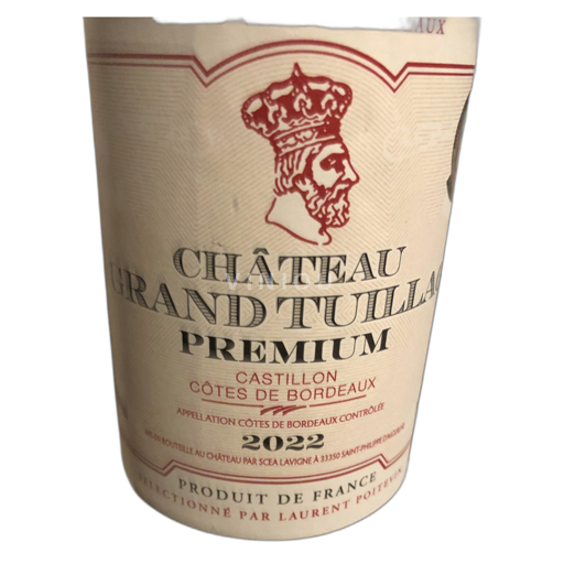 Bordeaux Castillon-côtes-de-bordeaux Château grand tuillac 2022 2022