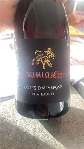 Vallée de la Loire Côtes-d'Auvergne Château Chateauguy Les Amandiers 2024
