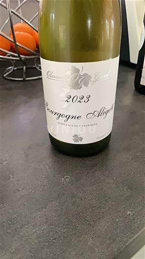 Bourgogne Bourgogne Aligoté Olivier Guyot 2023
