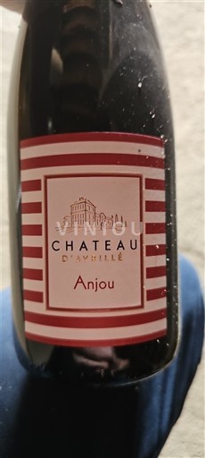 Loiredalen Anjou Château Avrillé 2021