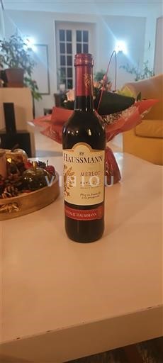 Лангедок и Русијон Окситански регион By Haussmann 2024