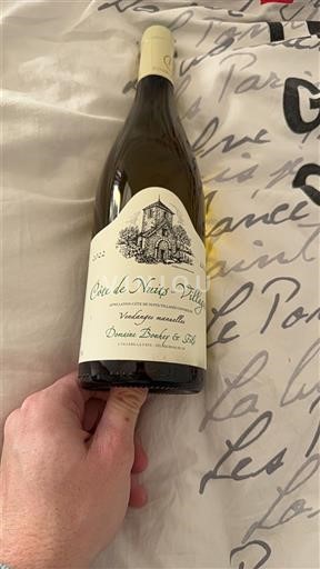 Wijnen Blanc sec Domaine Bouley et Fils 2022 Frankrijk Bourgondië Côte de Nuits Villages AOC