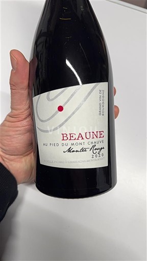 Burgundi Beaune Au Pied du Mont Chauve 2020