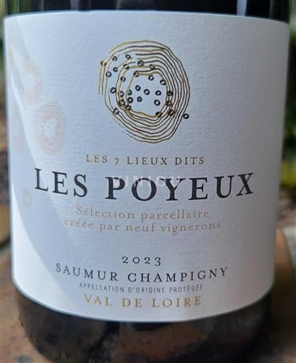 Dolina Loare Saumur-champigny Les 7 Lieux Dits Les Poyeux 2023