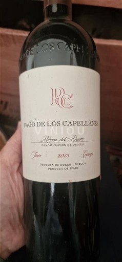 Castela e Leão Ribera del Duero Pago de los Capellanes Crianza 2018