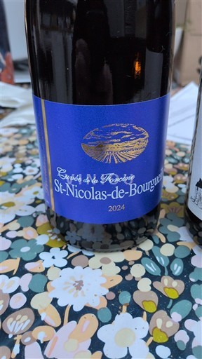 Valle del Loira Saint-Nicolas-De-Bourgueil Cuvée de la Toxcine 2024