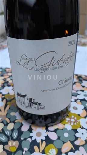 Valle del Loira Chinon Vignoble La Guénée 2024