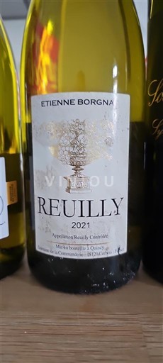 Loire-dalen Reuilly Etienne Borgna 2021