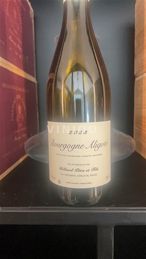 Bourgogne Bourgogne Aligoté Domaine Billard Père et Fils Bourgogne Aligoté 2023