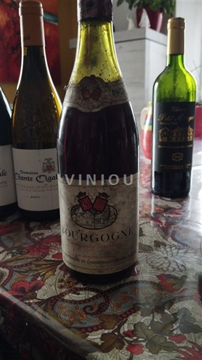 Burgund Domaine Chaudronnière 1971