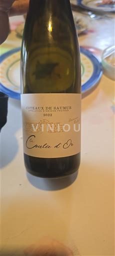 Valle della Loira Coteaux-de-saumur Coulée d'Or 2022