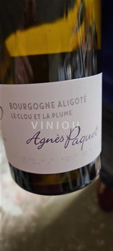 Bourgogne Bourgogne Aligoté Agnès Paquet Le Clou et la Plume 2021