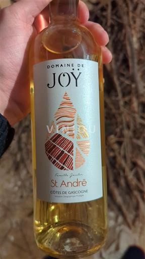 Sud-Ouest Côtes de Gascogne Domaine Joÿ St. André 2023