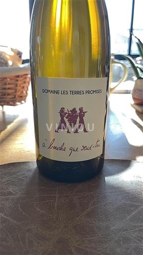 Provence Coteaux Varois en Provence Domaine Les Terres Promises À Bouche Que Veux-tu Không niên vụ