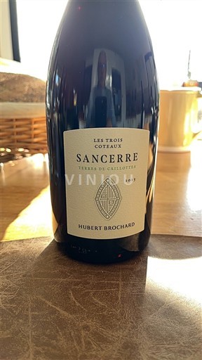 Valle della Loira Sancerre Hubert Brochard Les Trois Coteaux Terres de Caillottes 2021
