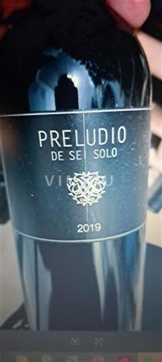 Castilien og León Ribera del Duero San Román Preludio de Se Solo 2019