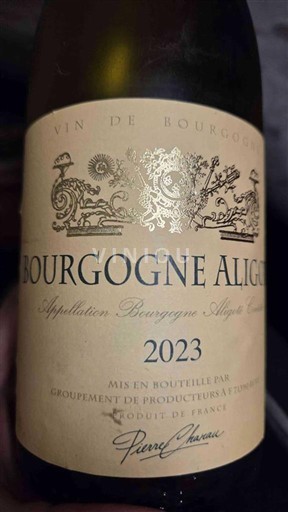 Burgund Bourgogne Aligoté Groupement de Producteurs à Tournus 2023