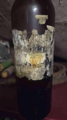 Jugozahod Côtes de Gascogne Château Tariquet Neleten.