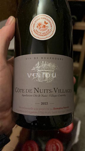 Burgund Côte de Nuits Villages Domaine Panouillé 2023