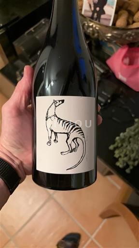 Tasmania No especificado Small Island 2019