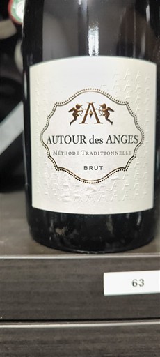 Loiren laakso Crémant de Loire Cave des Producteurs Autour des anges Ei vuosikertaa