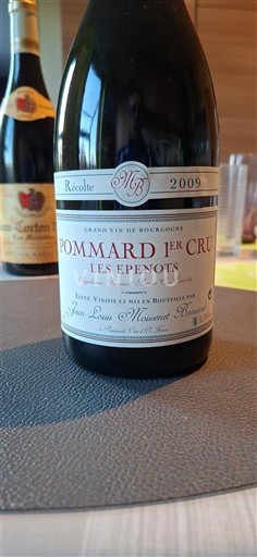 Burgundy Unspecified Premier Cru Jean-Louis Moissenet-Bonnard Les Epenots 2009