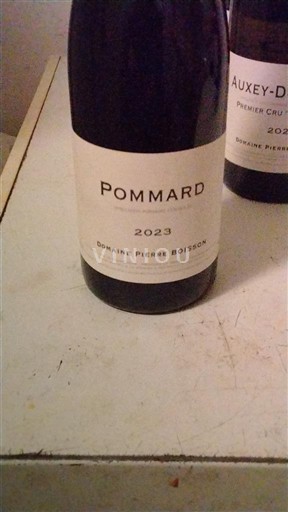 Borgoña Pommard Domaine Pierre Boisson 2023