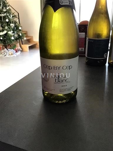 Valle della Loira Loira Atlantica Cep by Cep 2023