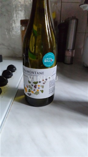 Languedoc in Roussillon Katalonske obale Tramontane Neleten.