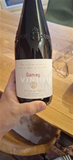 Savoie et Bugey Savoie Domaine Méjane Gamay Non Millésimé