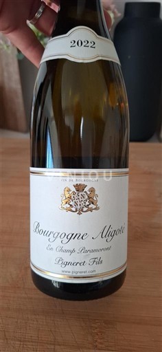 Bourgogne Bourgogne Aligoté Pigneret Fils En Champ Parnoux 2022