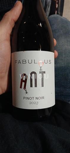 Bourgondië Bourgogne Fabulous Ant 2023