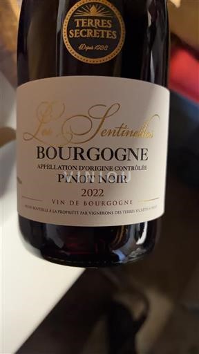 Burgundi Bourgogne Vignerons des Terres Secrètes Les Sentinelles 2022