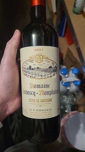 South West Côtes de Gascogne Domaine Boscq-Monplaisir 2021