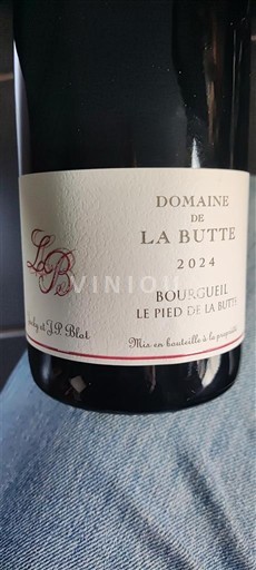 Valle della Loira Bourgueil Domaine La Butte Le Pied de la Butte 2024