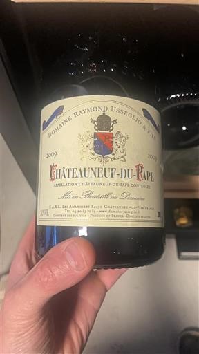 Rhône Valley Châteauneuf-du-Pape Domaine Raymond Usseglio & Fils 2009
