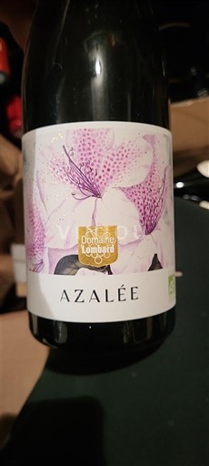 Rona dolina Ni doloceno Domaine Lombard Azalée Neleten.