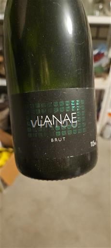 Champaña Champán L'Anae Sin añada