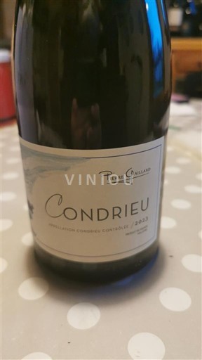 Rhône Valley Condrieu Pierre Gaillard 2023 2023
