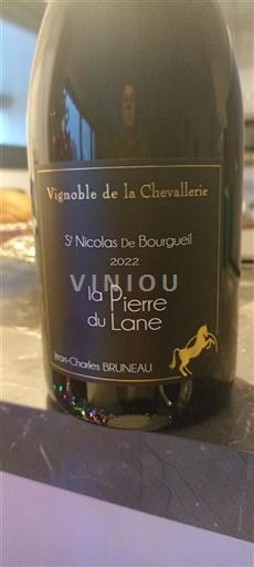 Valle del Loira Saint-Nicolas-De-Bourgueil Vignoble de la Chevalerie La Pierre du Lane 2022