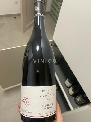 Loiredalen Bourgueil Domaine La Butte Mi-Pente 2021
