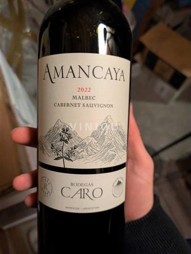 Mendoza Bodegas Caro Amancaya 2022