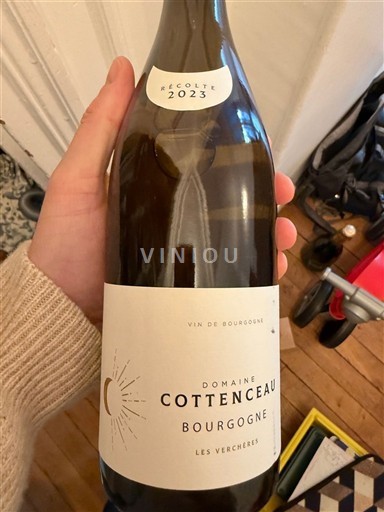 Borgogna Domaine Cottenceau Les Verchères 2023
