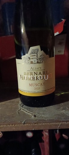 Alsazia Non specificato Château Bernard Humbrecht 2023