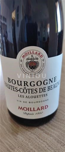 Bourgogne Ikke specificeret Moillard Les Alouettes 2024