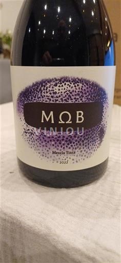 Thung lũng Aconcagua Aconcagua Andes M.O.B Mezcla Tinta 2022