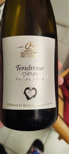 Loirevallei Domaine S Forges Tendresse Chenin Niet-geïntegreerd