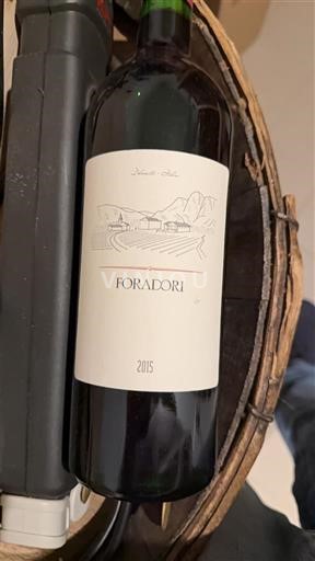 Trentin-Haut-Adige Vigneti delle Dolomiti Foradori 2015