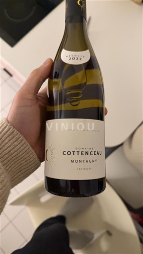 Borgogna Montagny Domaine Cottenceau Les Bassets 2022